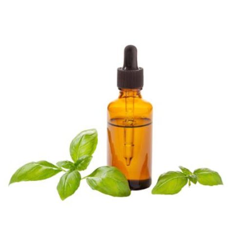 Naturalzy Holy Basil Extract